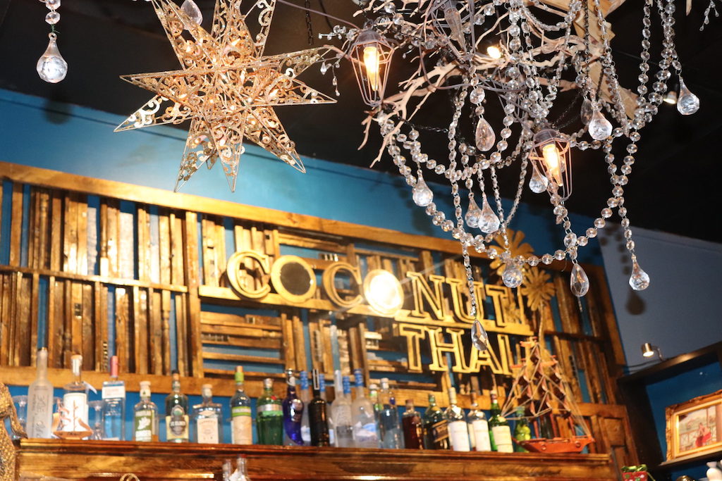 Review : Coconut Thai Cuisine - Statesboro GA - Endless Family Travels