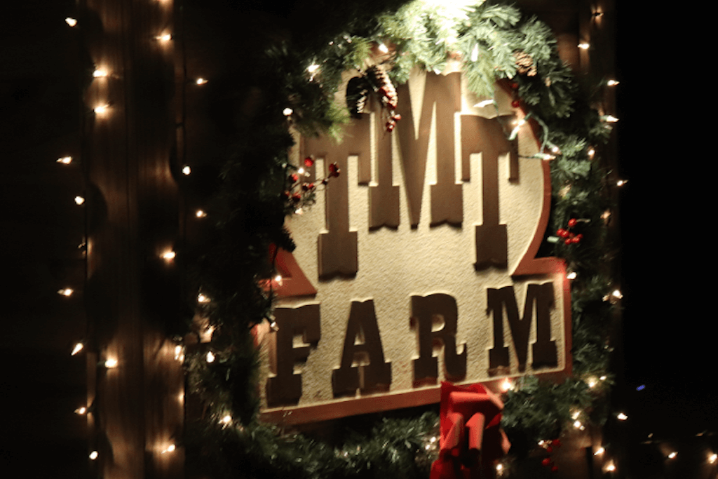 Statesboro Christmas Lights at TMT Farms