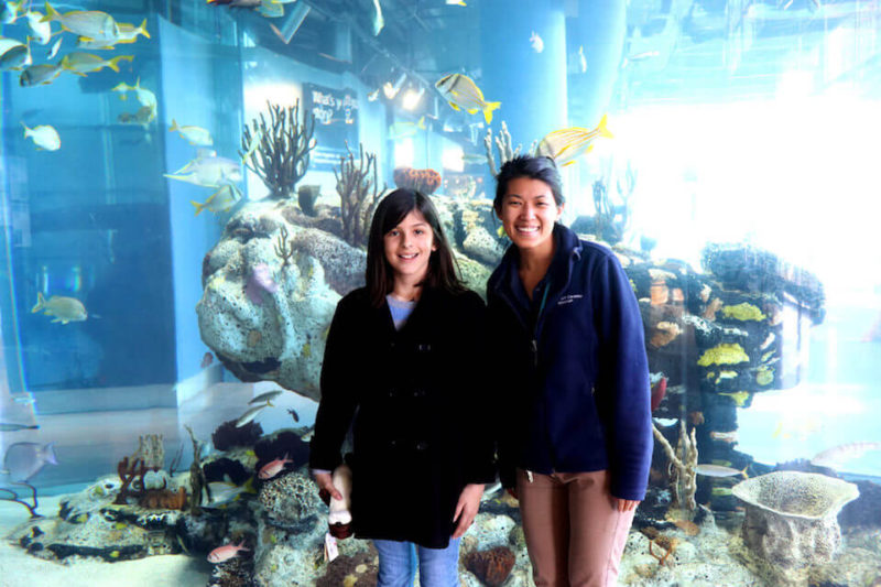 Visiting South Carolina Aquarium in Charleston - Endless Family Travels
