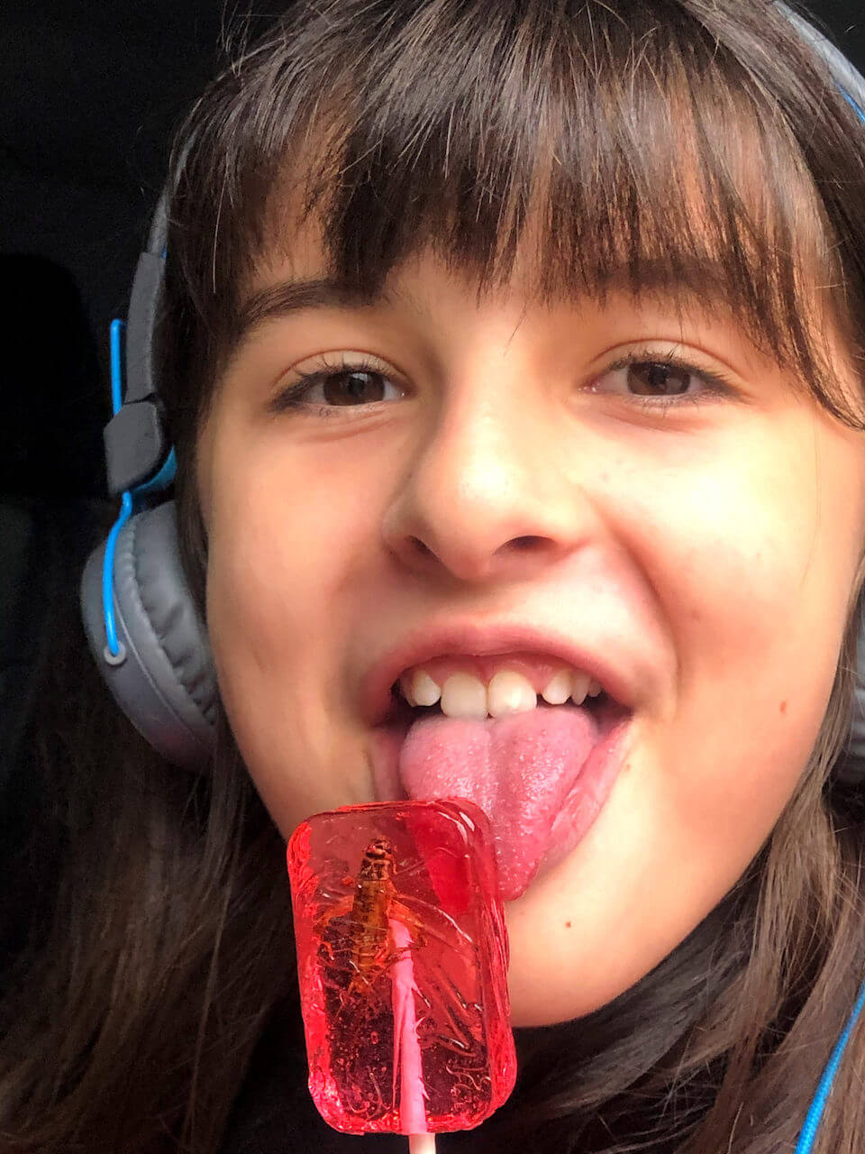 Payton with a cricket lollipop, Lookout Mountain
