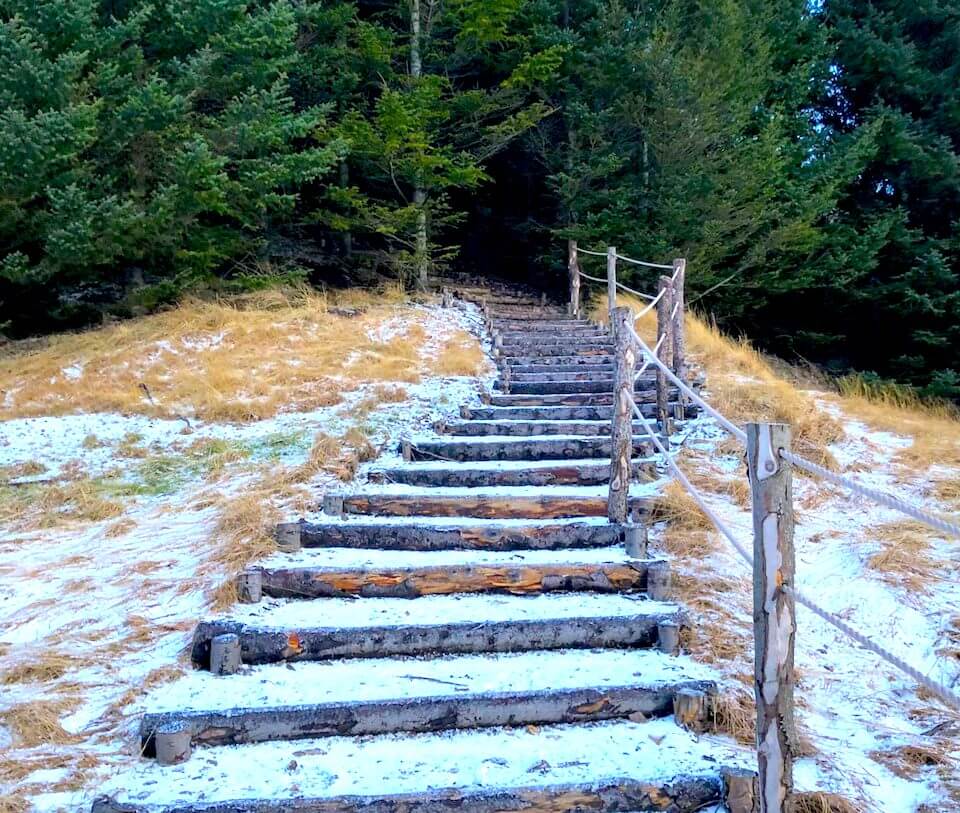 Stairs at the Bubble site on the South Coast