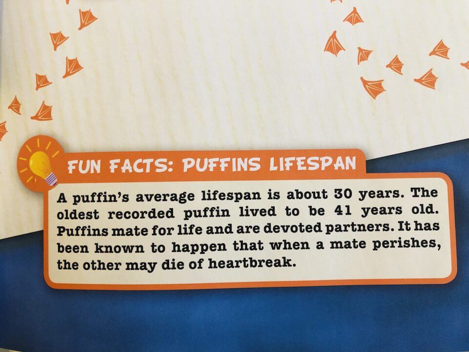 Fun facts out of the book - Puffin lifespan info
