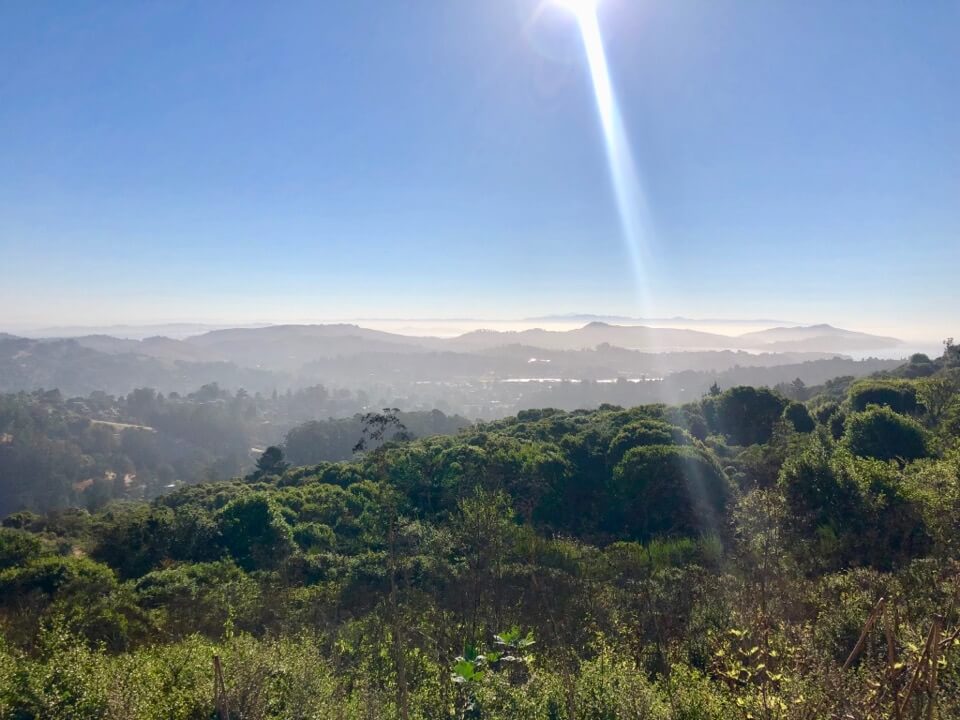 California Coast from PCH