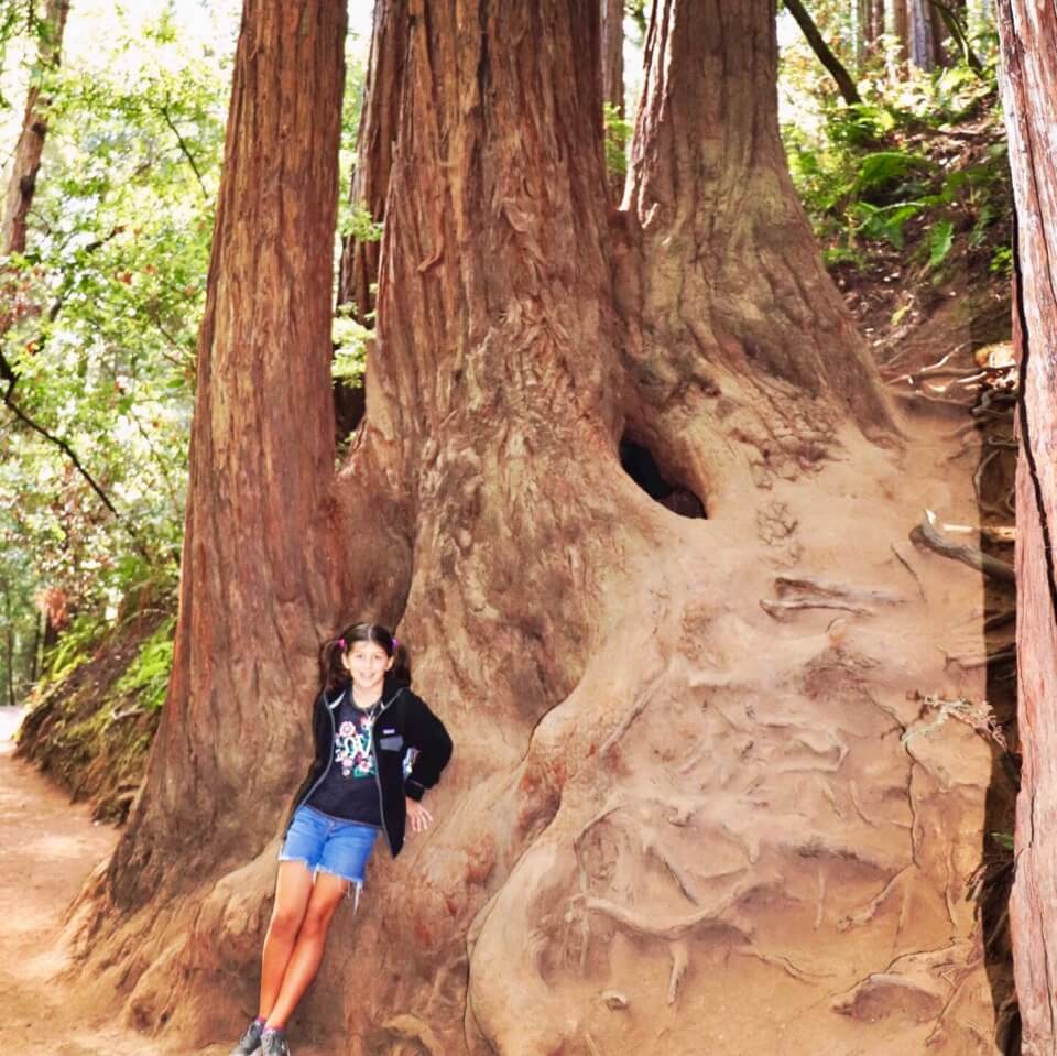 Payton at Muir Woods