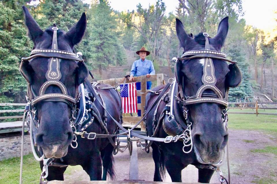 Hayride at Rainbow Trout Ranch
