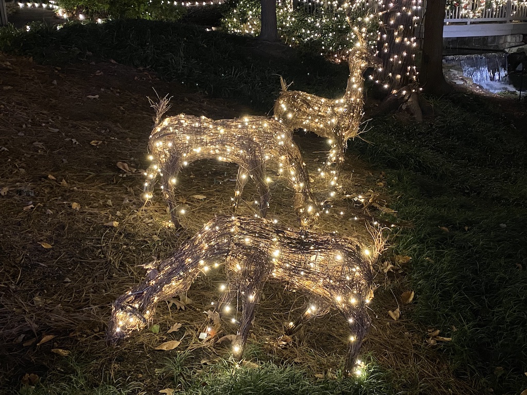 Ravinia Holiday in Lights, Dunwoody