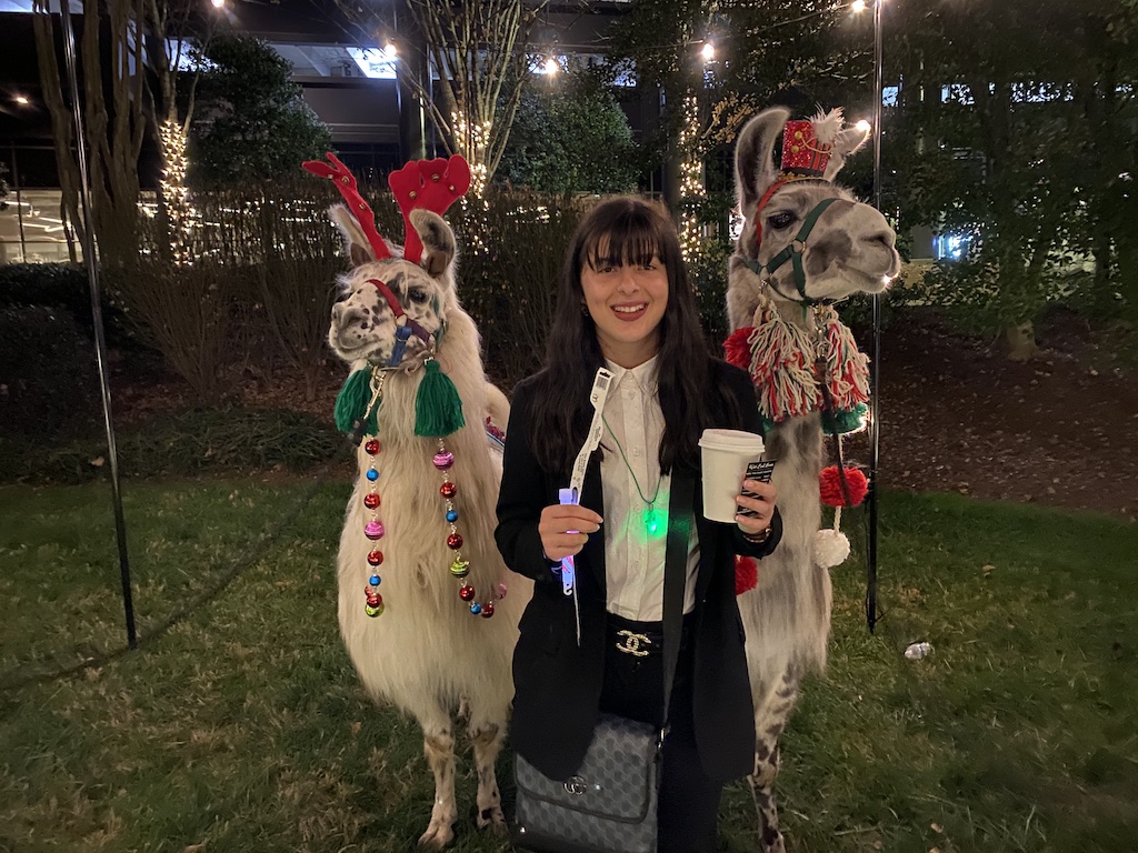Christmas Llamas in Dunwoody