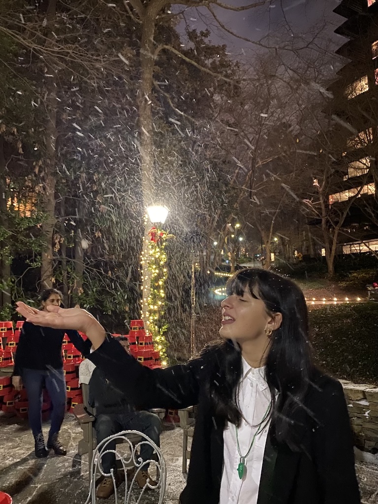 Snow in Ravinia, Dunwoody