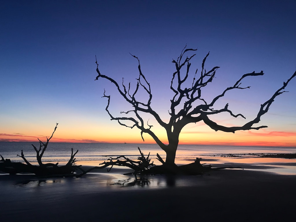 Jekyll Island beach - Photo by Kelly Trim on Unsplash