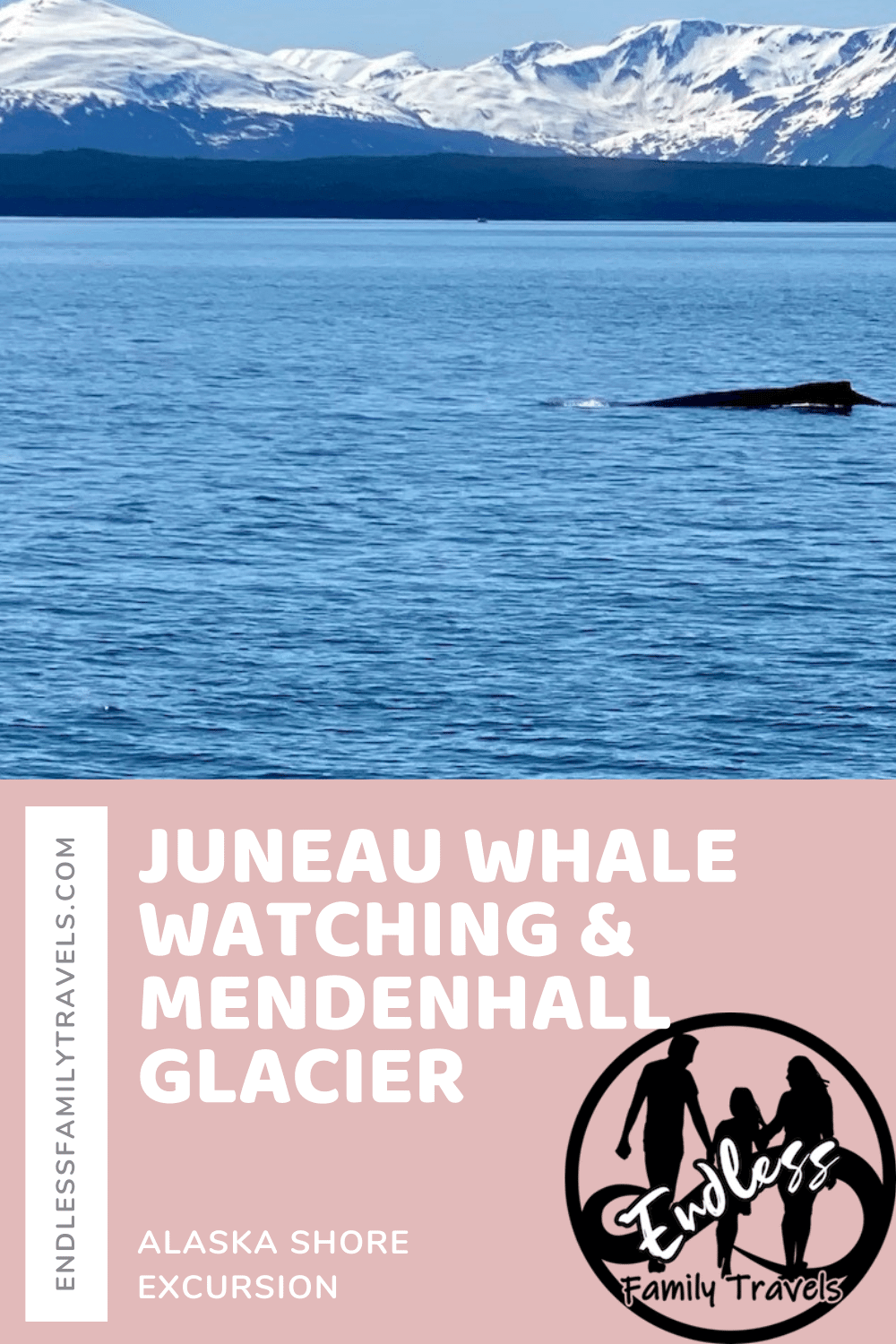Juneau Whale Watching & Mendenhall Glacier Tour - Endless Family Travels