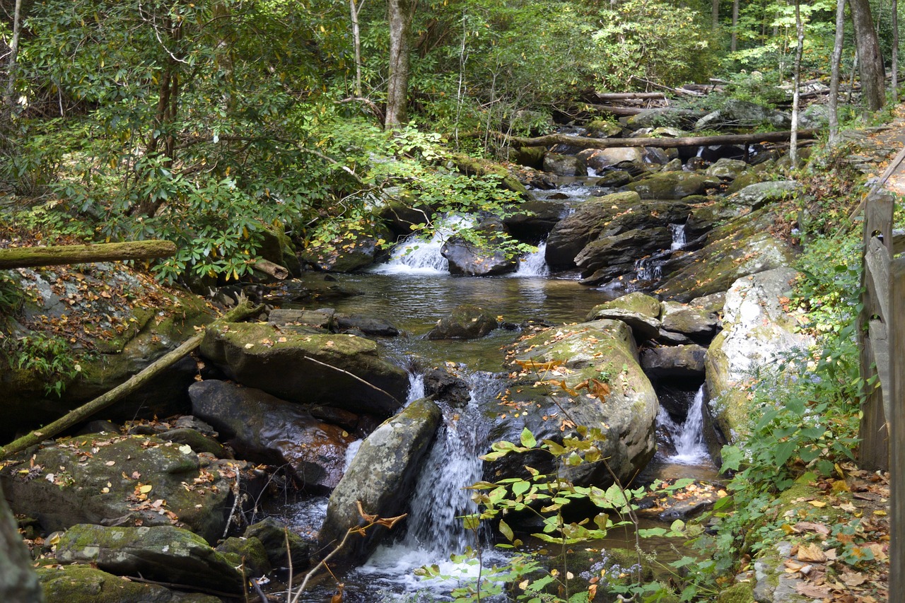 Anna Ruby Falls - Image by Paul Brennan from Pixabay
