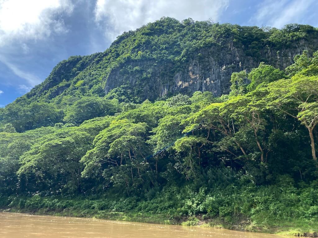 Scenery along the Sigatoka River