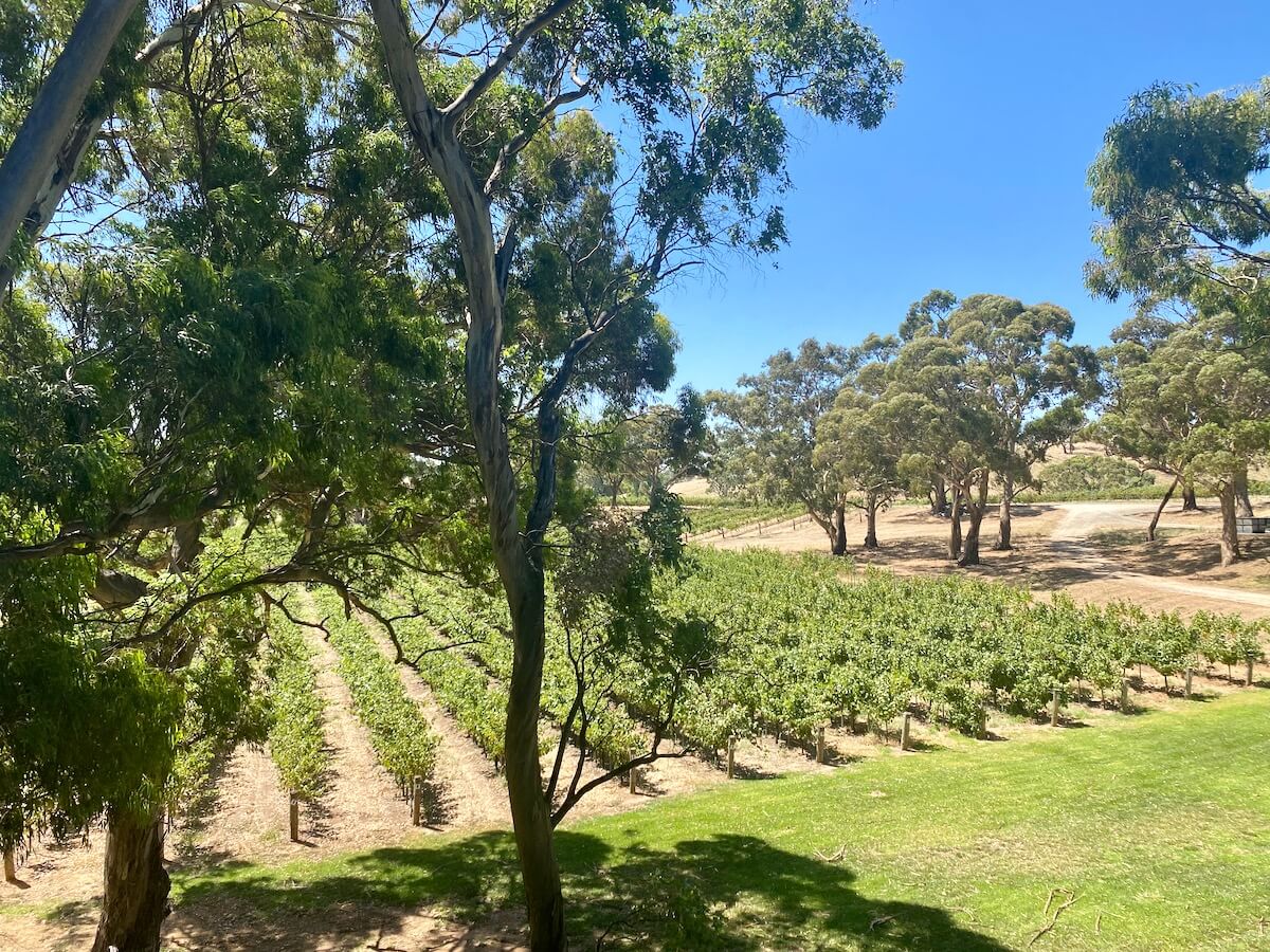 Lambert Estate, Adelaide
