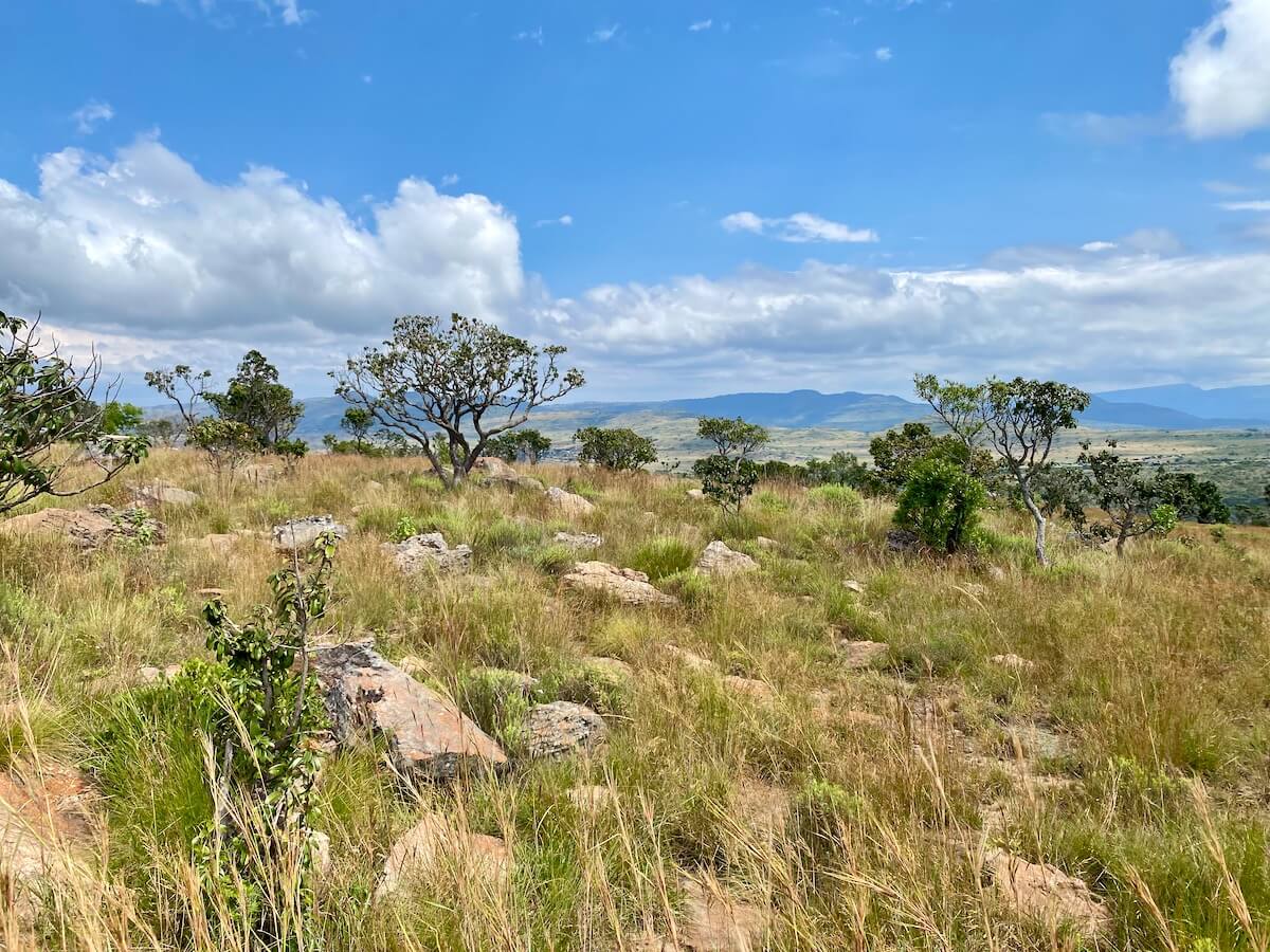 Panorama Route views