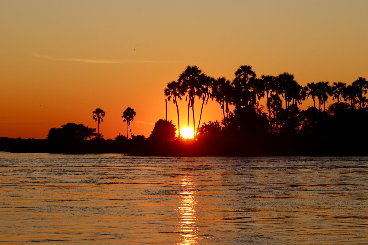 3 Weeks in South Africa, Victoria Falls & Chobe : Itinerary - Endless Family Travels