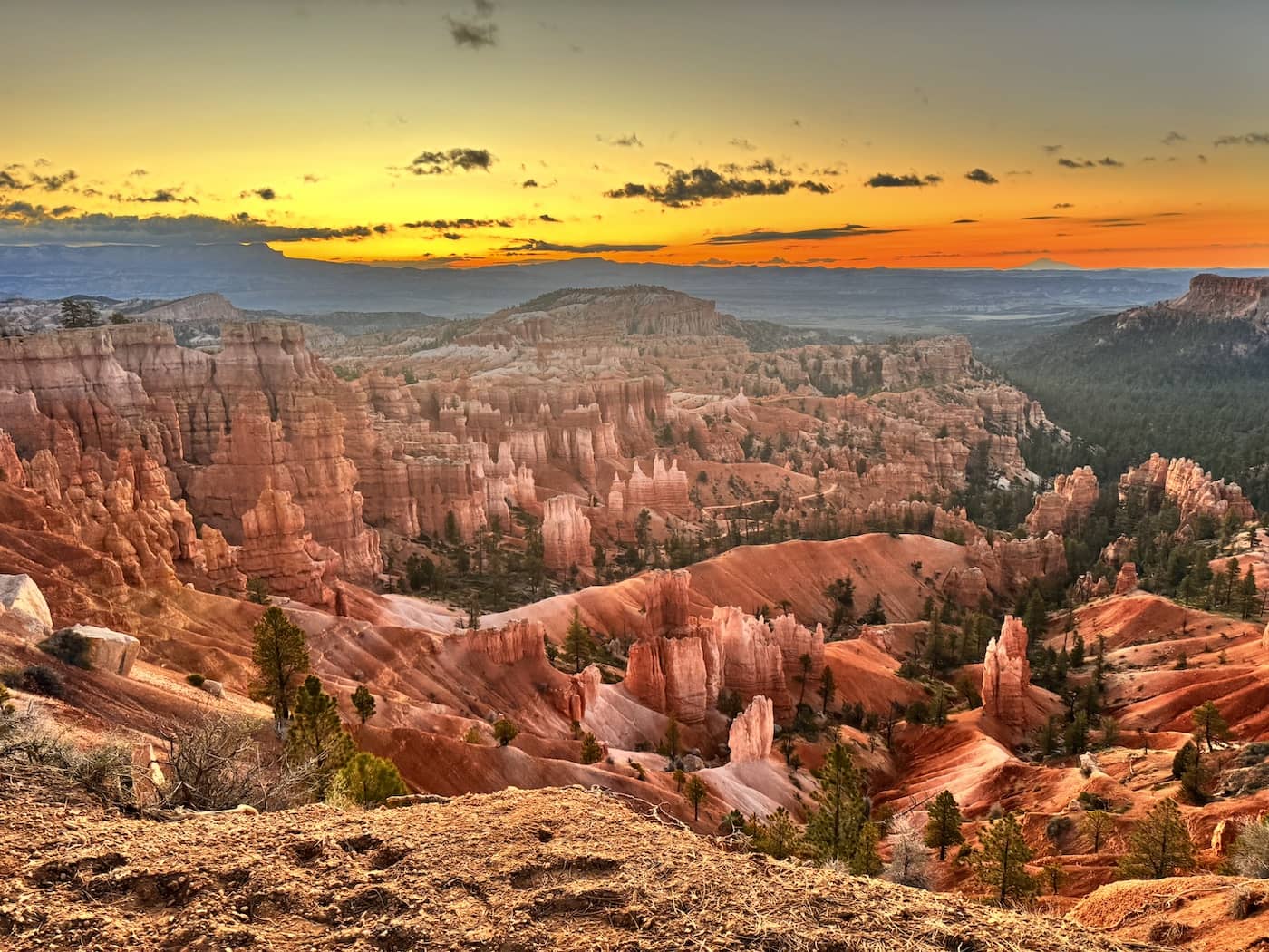 Guide to Bryce Canyon and Zion National Parks: Family Vacation Tips - Endless Family Travels