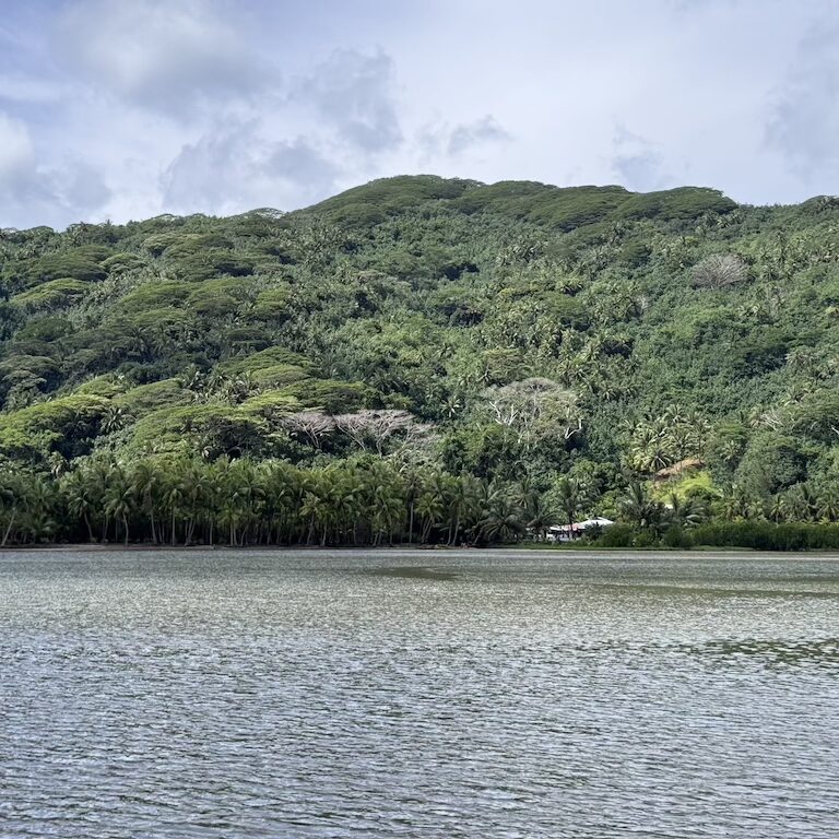 Coastal views of Huahine